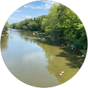 David K. profile picture